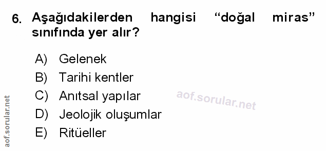 Soru 6