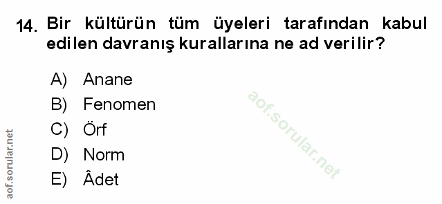 Soru 14