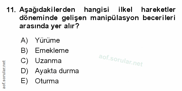 Soru 11