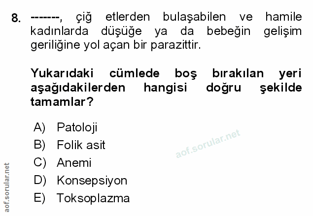 Soru 8