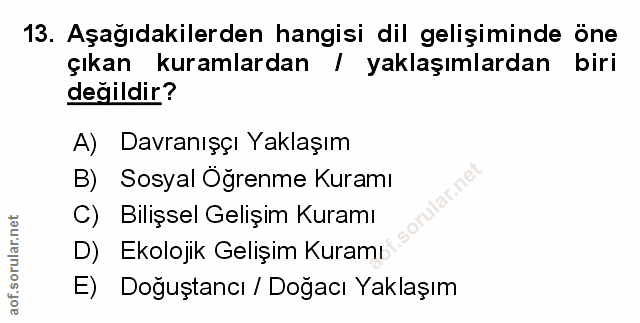 Soru 13