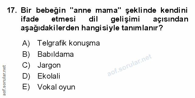 Soru 17