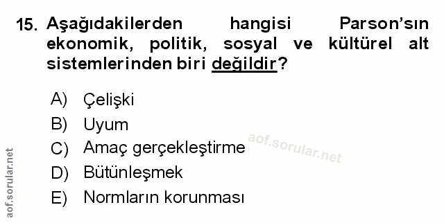 Soru 15