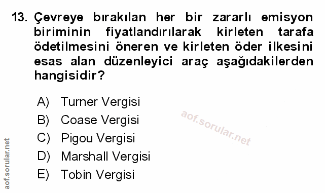 Soru 13