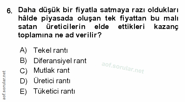 Soru 6