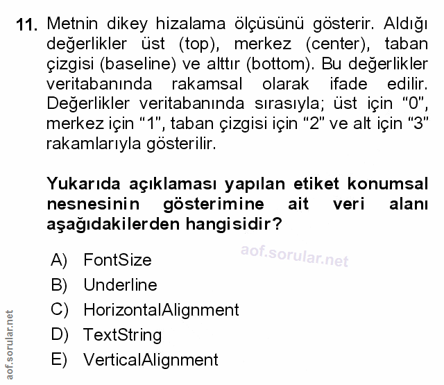 Soru 11