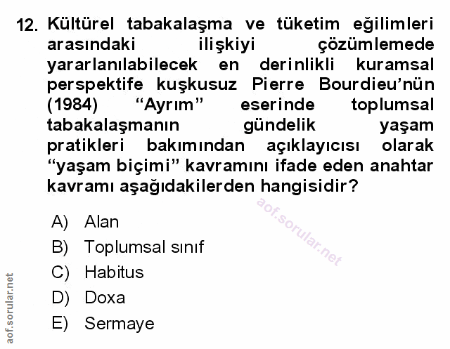 Soru 12