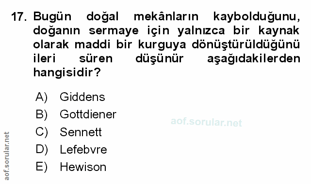 Soru 17