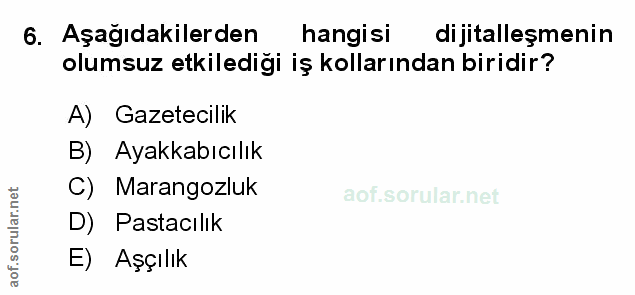 Soru 6