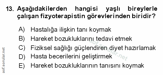 Soru 13
