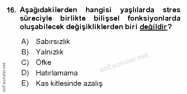 Soru 16