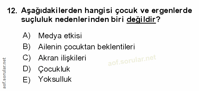 Soru 12