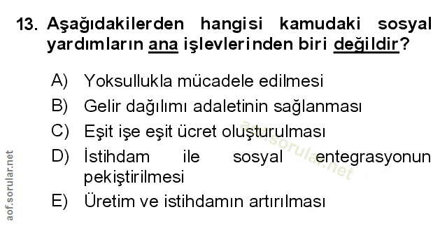 Soru 13