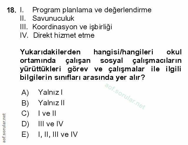 Soru 18