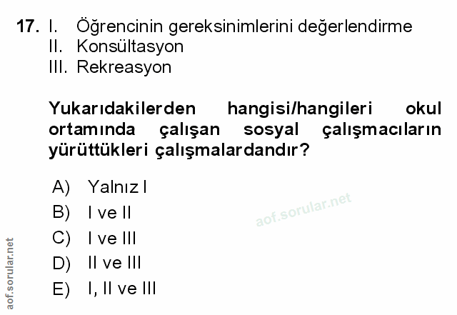 Soru 17