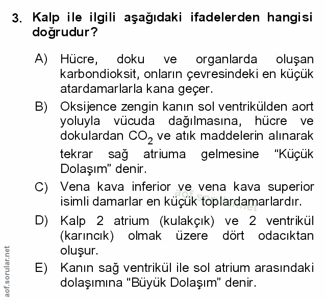 Soru 3