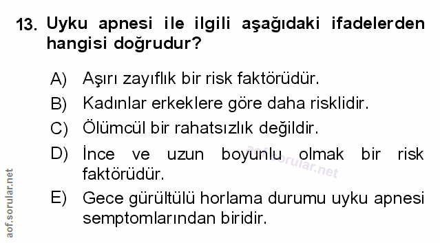 Soru 13