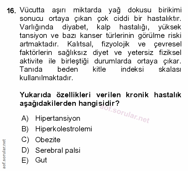 Soru 16