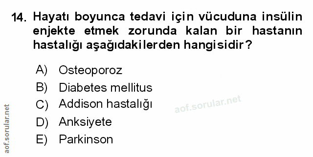 Soru 14