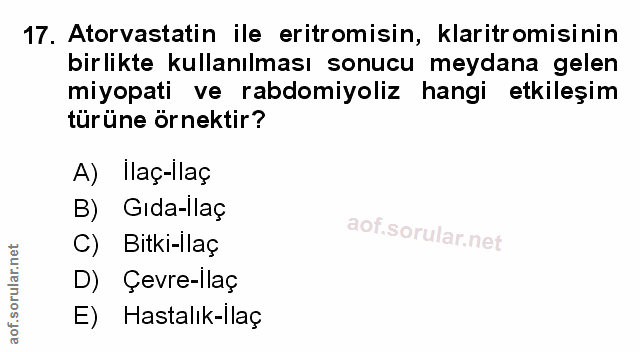 Soru 17