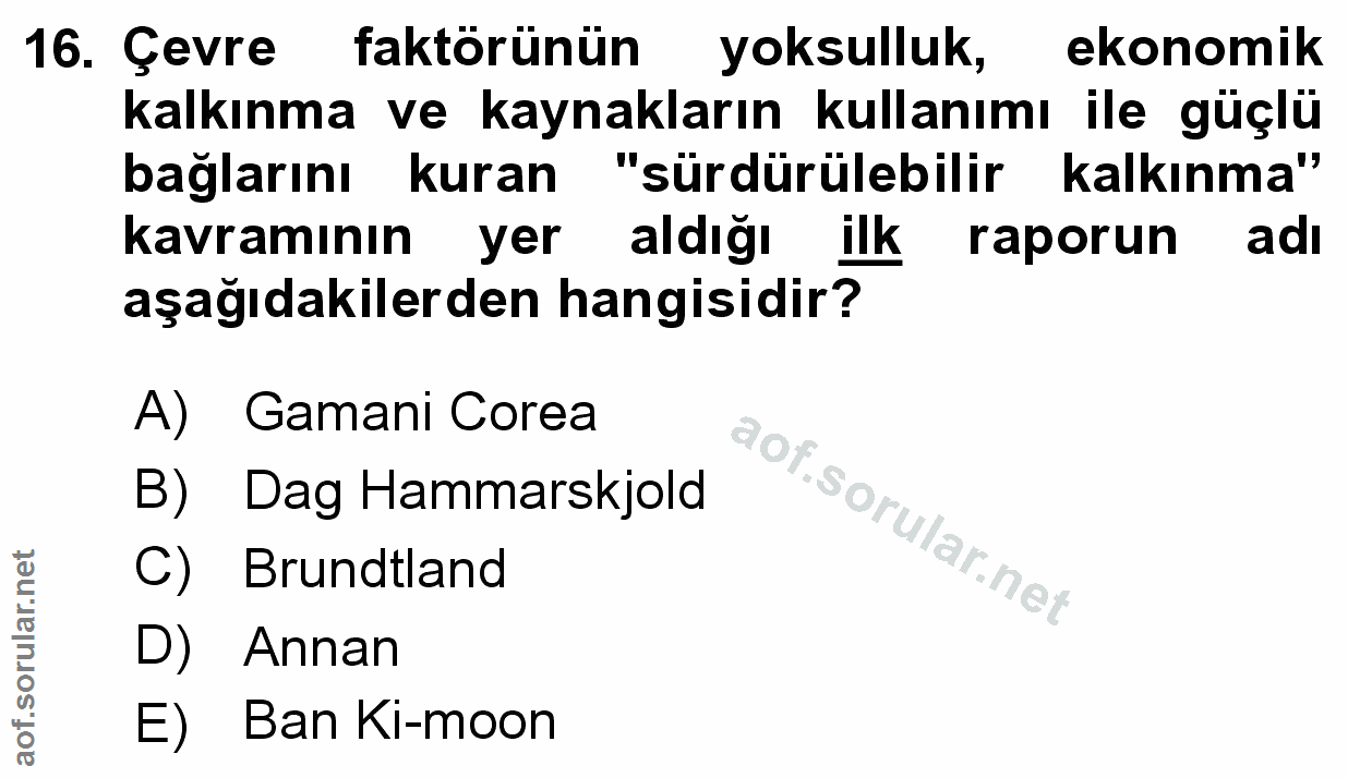 Soru 16