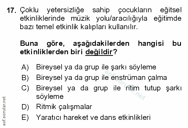 Soru 17