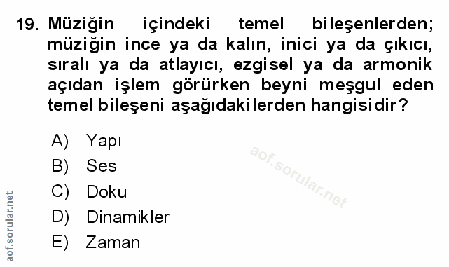 Soru 19