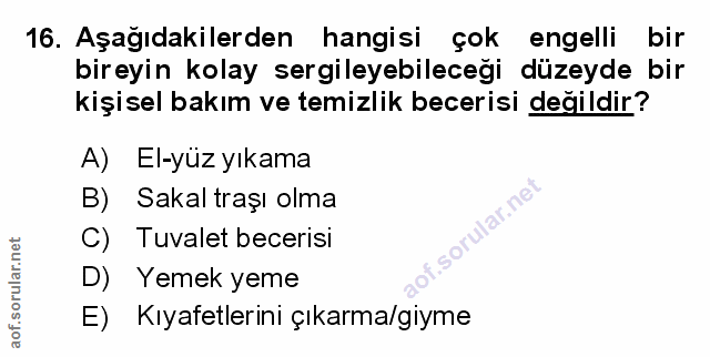 Soru 16