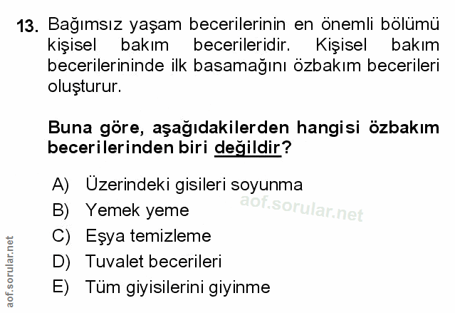 Soru 13