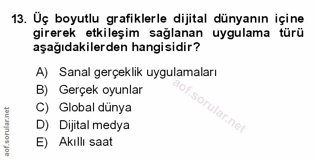 Soru 13