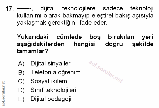 Soru 17