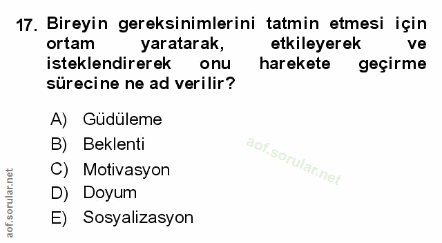 Soru 17