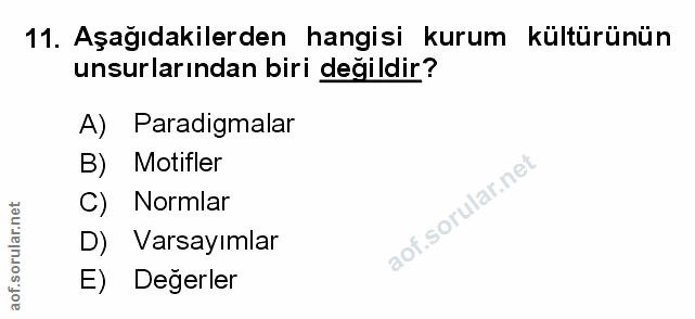 Soru 11