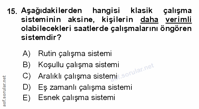 Soru 15