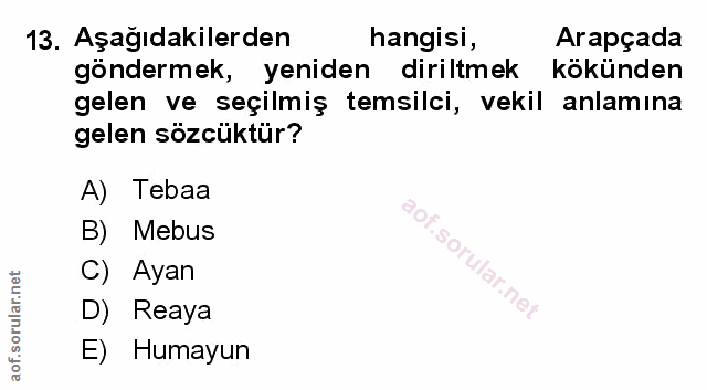 Soru 13