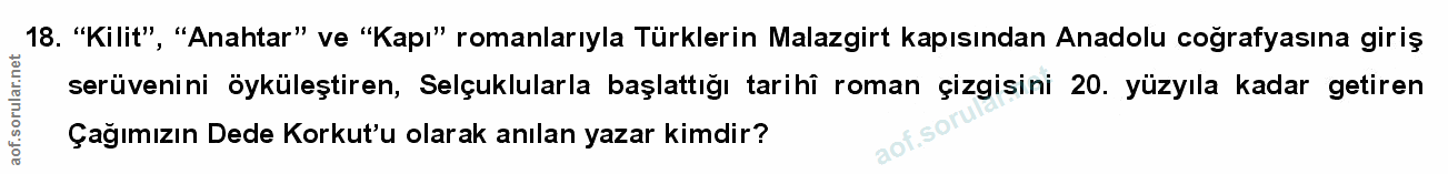 Soru 18