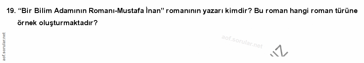 Soru 19