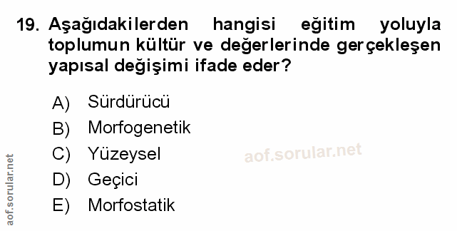 Soru 19