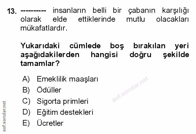 Soru 13