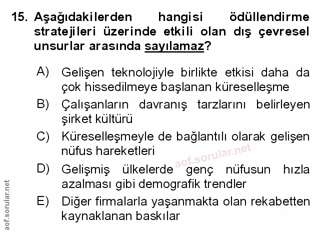 Soru 15