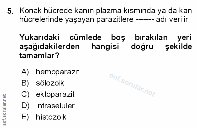 Soru 5