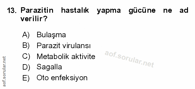 Soru 13