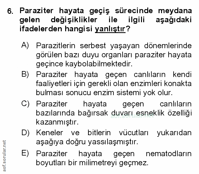 Soru 6