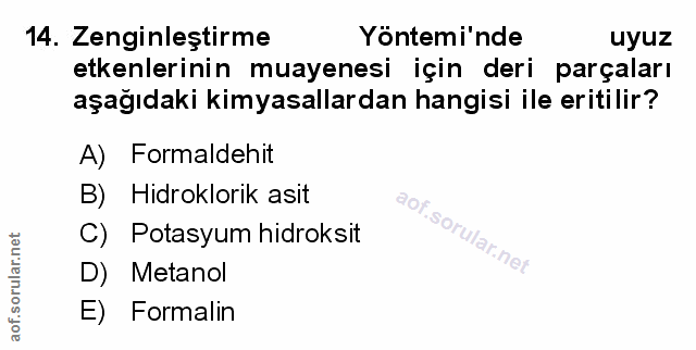 Soru 14
