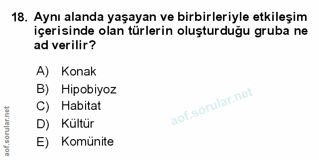 Soru 18