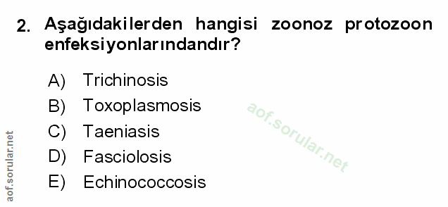 Soru 2