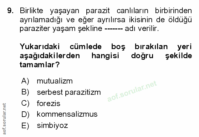 Soru 9