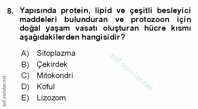 Soru 8