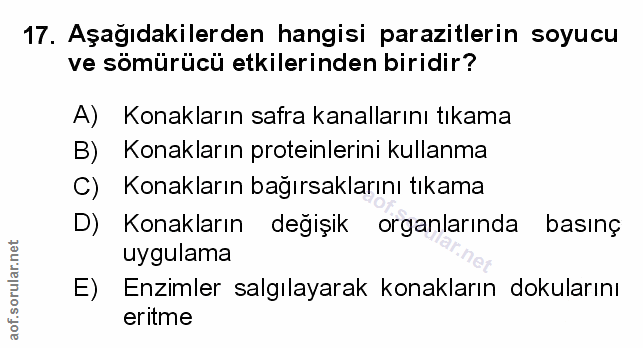 Soru 17