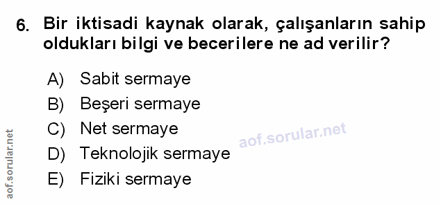 Soru 6